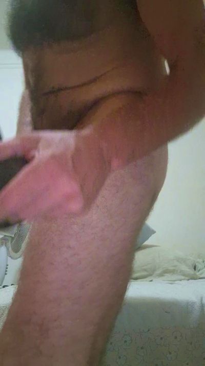 Cercoalfa from Italy