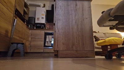 PrimeExib from France